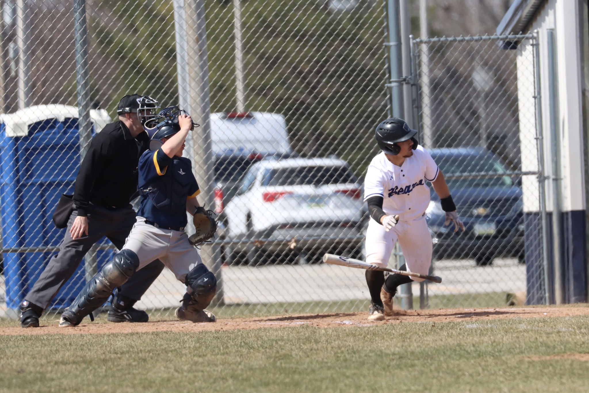 Bears rout Tigers