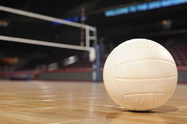 DMACC volleyball team splits four matches in Opening Weekend Tournament